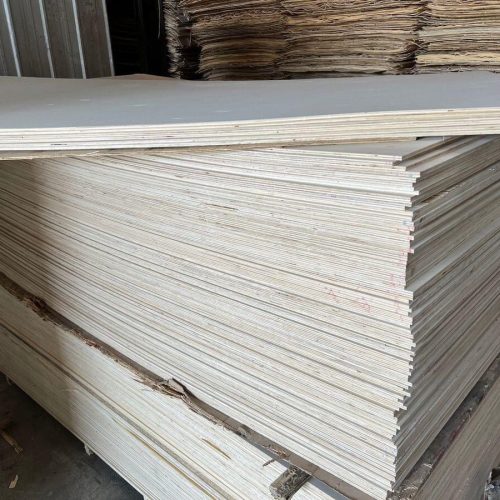 2a703e9f-04d1-4e36-8532-4539f106650b